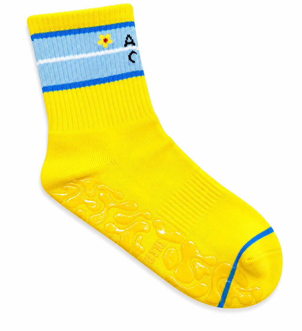 ♈️ Aries Pilates Socks